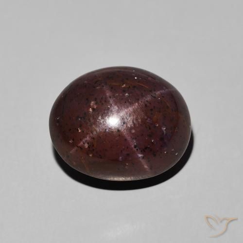 11.62ct 天然 暗红色 星石榴石, 椭圆形, 不透明