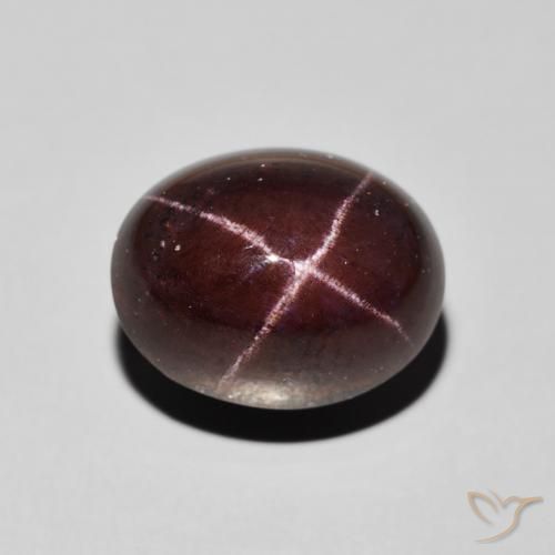 13.49ct 天然 暗红色 星石榴石, 椭圆形, 不透明