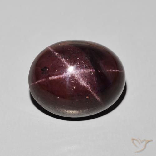 27.66ct 天然 暗红色 星石榴石, 椭圆形, 不透明
