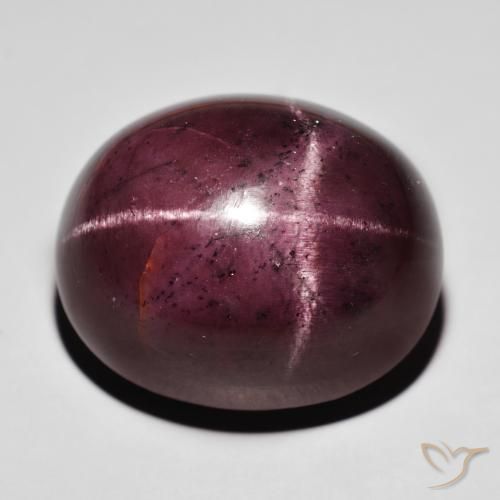 88.20ct 天然 暗红色 星石榴石, 椭圆形, 不透明