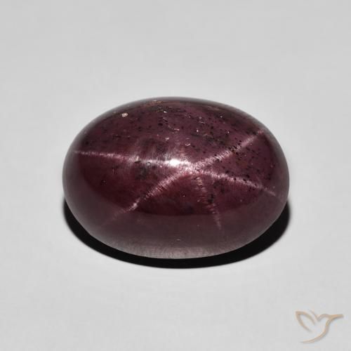 16.07ct 天然 暗红色 星石榴石, 椭圆形, 不透明