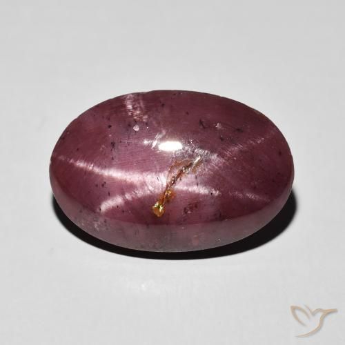 10.84ct 天然 暗红色 星石榴石, 椭圆形, 不透明