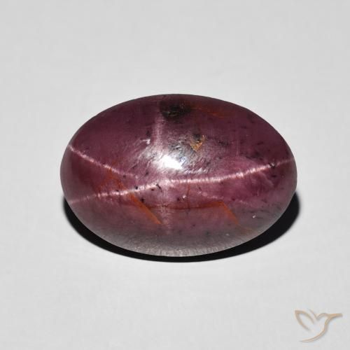 8.72ct 天然 Medium Dark-Red 星石榴石, 椭圆形, 不透明