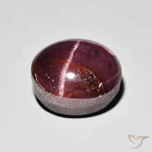 15.64克拉天然星石榴石，椭圆形，不透明