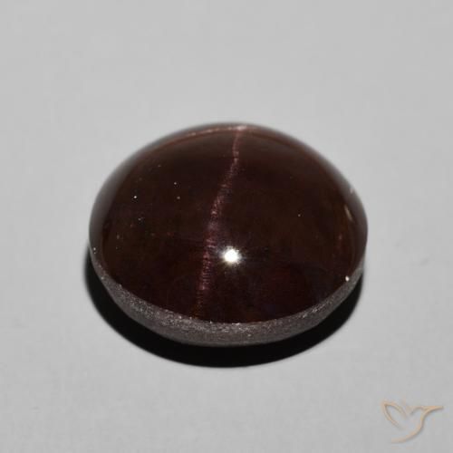 14.41克拉天然星石榴石，圆形的，不透明