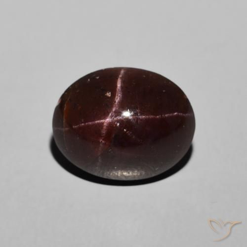 6.48ct 天然 暗红色 星石榴石, 椭圆形, 不透明