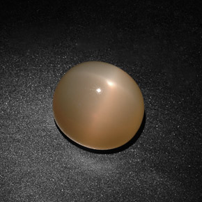 15.59克拉天然奶油色星光月光石，透明，14.5×13毫米，透明/半透明