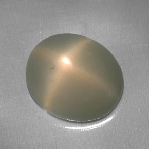 5.95克拉天然奶油色星光月光石，透明，12×10.2毫米，透明/半透明