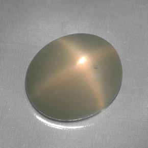 5.95克拉天然奶油色星光月光石，透明，12×10.2毫米，透明/半透明