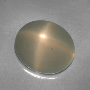 5.95克拉天然奶油色星光月光石，透明，12×10.2毫米，透明/半透明