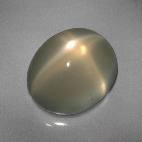 6.08克拉天然奶油色星光月光石，透明，12×10.2毫米，透明/半透明