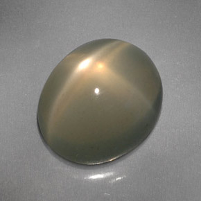 6.08克拉天然奶油色星光月光石，透明，12×10.2毫米，透明/半透明