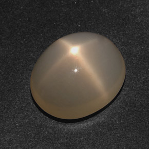 10.21克拉天然奶油色星光月光石，椭圆形切割，15.3×13毫米，半透明