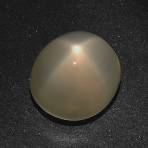 16.01克拉天然奶油色星光月光石，椭圆形切割，14.3×13毫米，半透明
