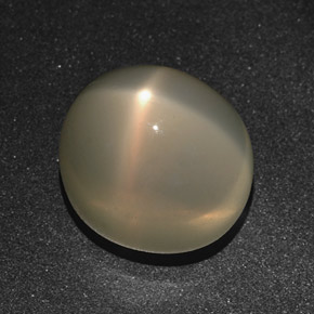 16.01克拉天然奶油色星光月光石，椭圆形切割，14.3×13毫米，半透明