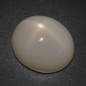 20.07克拉天然奶油色星光月光石，椭圆形切割，18×15.5毫米，半透明