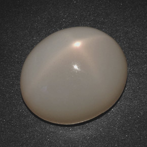 20.07克拉天然奶油色星光月光石，椭圆形切割，18×15.5毫米，半透明