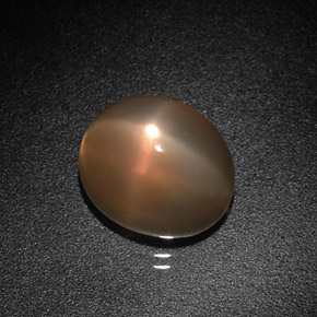 4.98克拉天然橙色星光月光石，椭圆形切割，10.4×8.8毫米，半透明