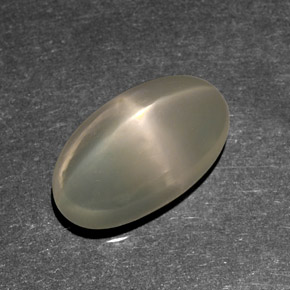 9.37克拉天然奶油色星光月光石，透明，16×9毫米，透明/半透明
