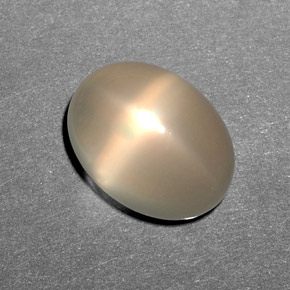 10.79克拉天然奶油色星光月光石，透明，15×11.2毫米，透明/半透明