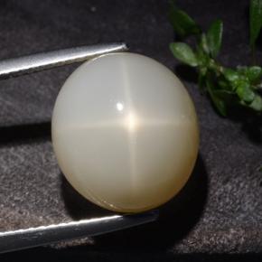 10.60克拉天然奶油色星光月光石，椭圆形切割，13.9×12.5毫米，半透明