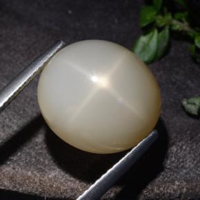 10.60克拉天然奶油色星光月光石，椭圆形切割，13.9×12.5毫米，半透明