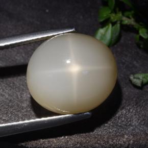 10.60克拉天然奶油色星光月光石，椭圆形切割，13.9×12.5毫米，半透明