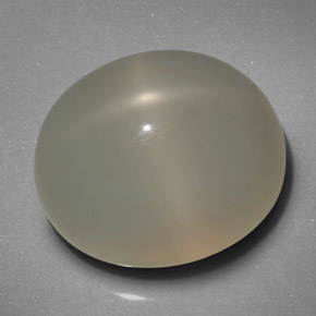 19.29克拉天然奶油色星光月光石，透明，16.6×14.2毫米，透明/半透明