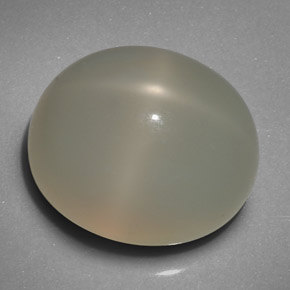 19.29克拉天然奶油色星光月光石，透明，16.6×14.2毫米，透明/半透明