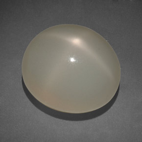 14.00克拉天然奶油色星光月光石，透明，14.5×12.5毫米，透明/半透明