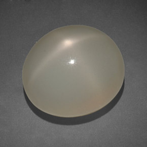 14.00克拉天然奶油色星光月光石，透明，14.5×12.5毫米，透明/半透明