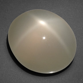 20.40克拉天然奶油色星光月光石，透明，16.7×14.2毫米，透明/半透明