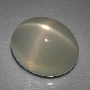 12.51克拉天然奶油色星光月光石，透明，15×12.3毫米，透明/半透明