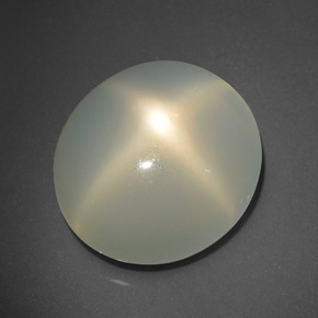 15.85克拉天然奶油色星光月光石，椭圆形切割，17×15.3毫米，半透明