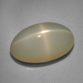 12.06克拉天然奶油色星光月光石，椭圆形切割，18×10.8毫米，半透明