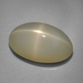 12.06克拉天然奶油色星光月光石，椭圆形切割，18×10.8毫米，半透明