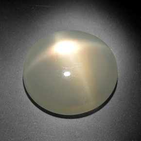 18.46克拉天然奶油色星光月光石，椭圆形切割，19×17.9毫米，半透明