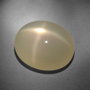 20.88克拉天然奶油色星光月光石，椭圆形切割，19.1×15.5毫米，半透明