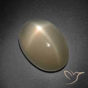 7.41克拉天然橙色星光月光石，椭圆形切割，14.2×10毫米，半透明