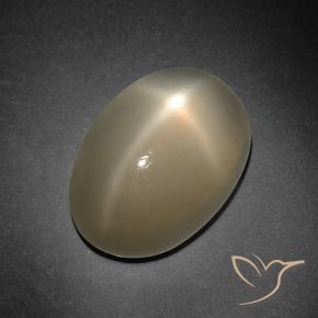 7.41克拉天然橙色星光月光石，椭圆形切割，14.2×10毫米，半透明