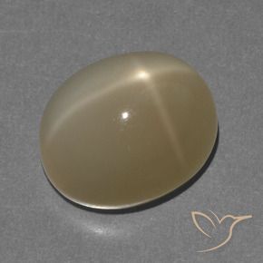 8.56克拉天然星月石，椭圆形，半透明