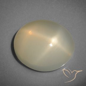 9.32克拉天然黄色星光月光石，椭圆形切割，15.1×13毫米，半透明
