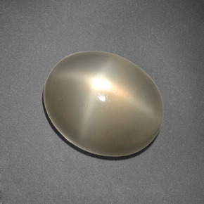 6.62克拉天然奶油色星光月光石，椭圆形切割，13×10.7毫米，半透明