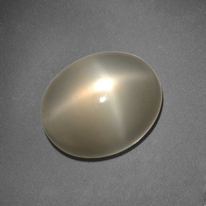6.62克拉天然奶油色星光月光石，椭圆形切割，13×10.7毫米，半透明