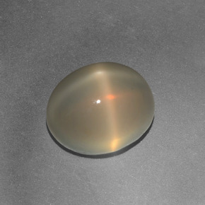 4.97克拉天然奶油色星光月光石，椭圆形切割，11×8.9毫米，半透明