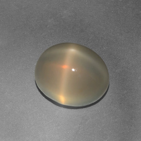 4.97克拉天然奶油色星光月光石，椭圆形切割，11×8.9毫米，半透明