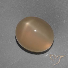 5.84克拉天然星月石，椭圆形，半透明