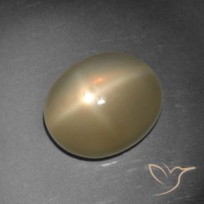 5.65克拉天然星月石，椭圆形，半透明