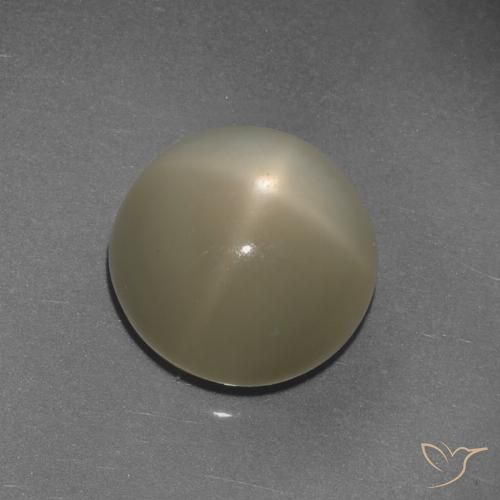 9.72ct 天然 浅咖啡棕 星月石, 圆形的, 半透明