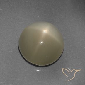 9.72克拉天然星月石，圆形的，半透明